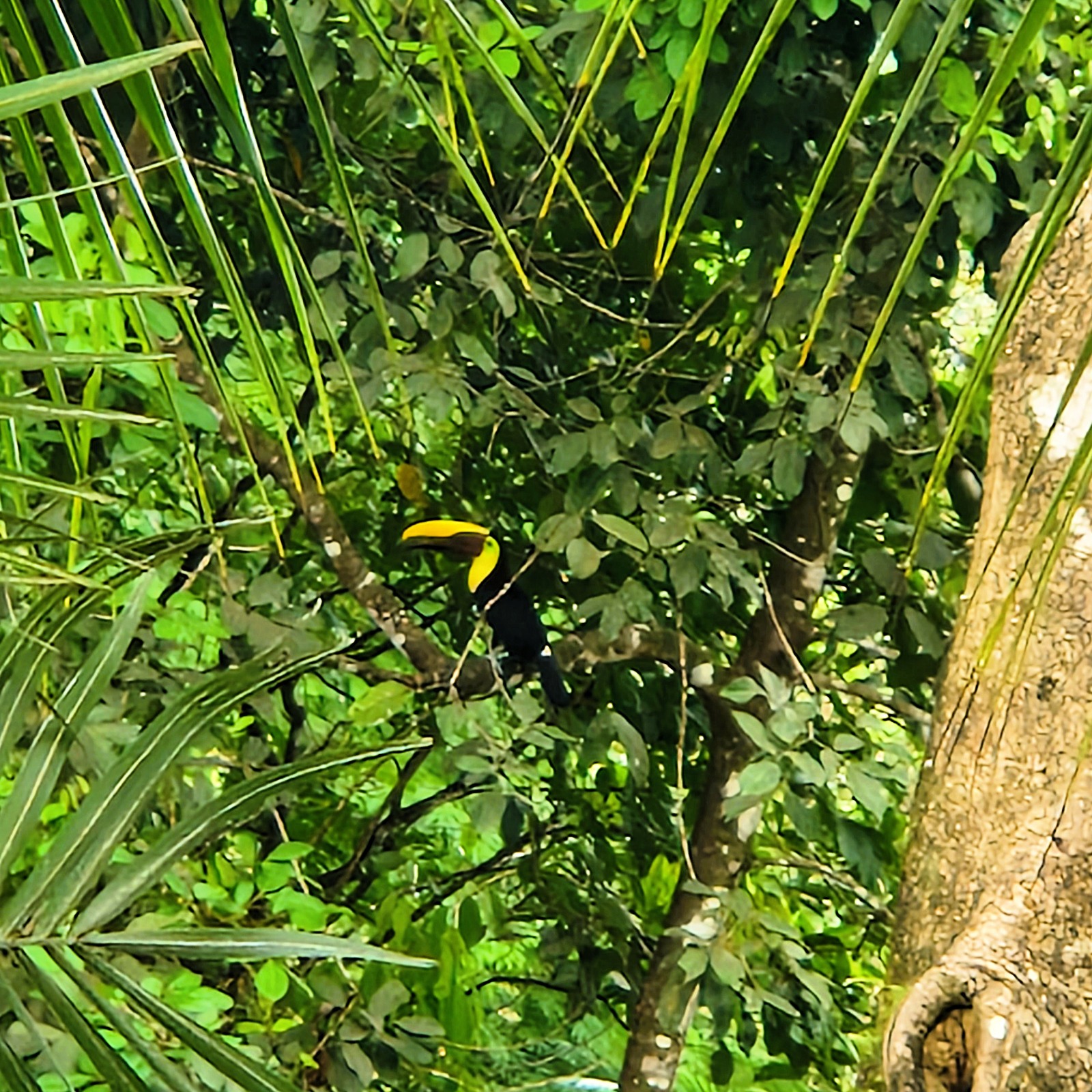 Costa Rica Foto 11