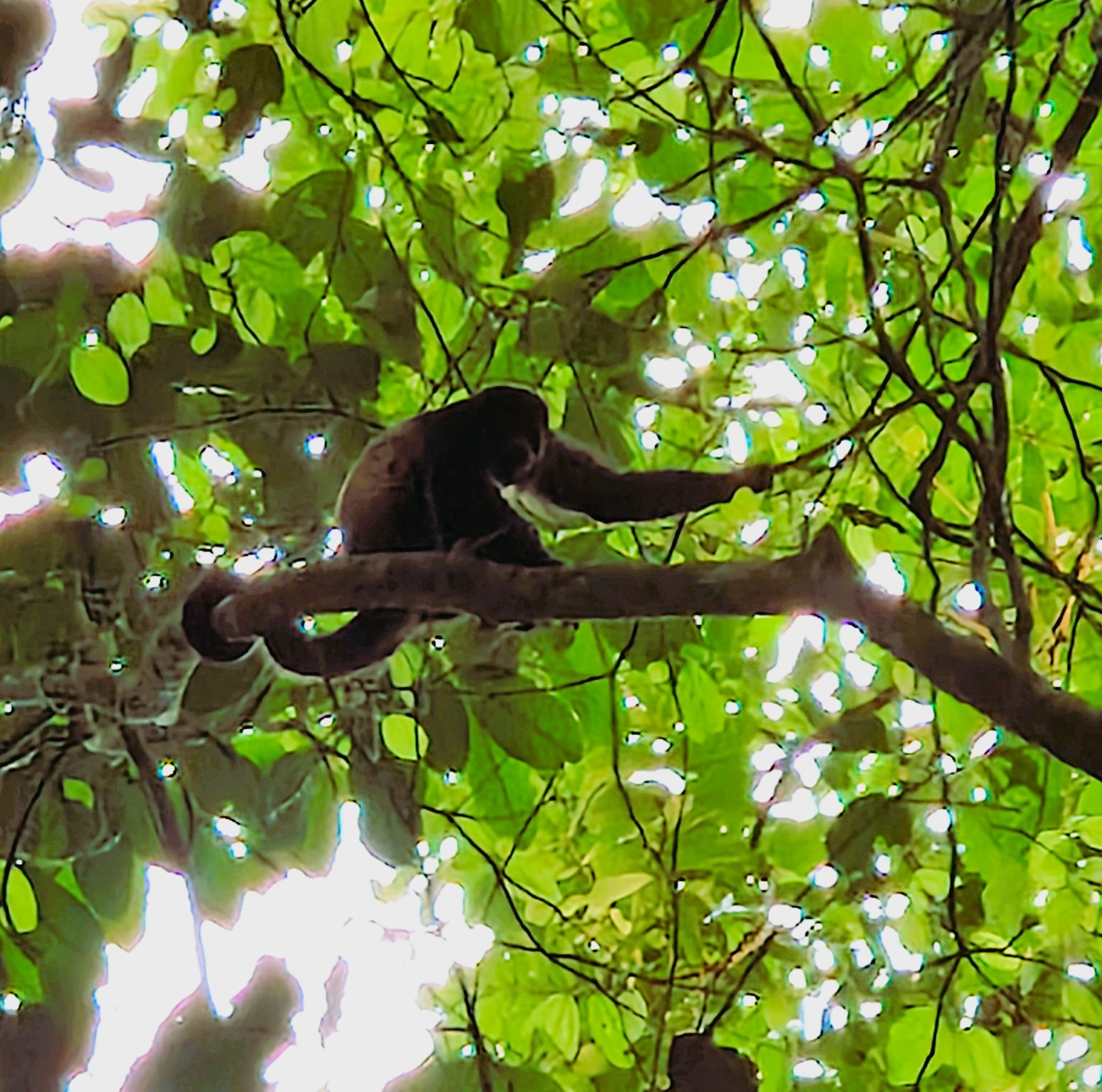 Costa Rica Foto 12
