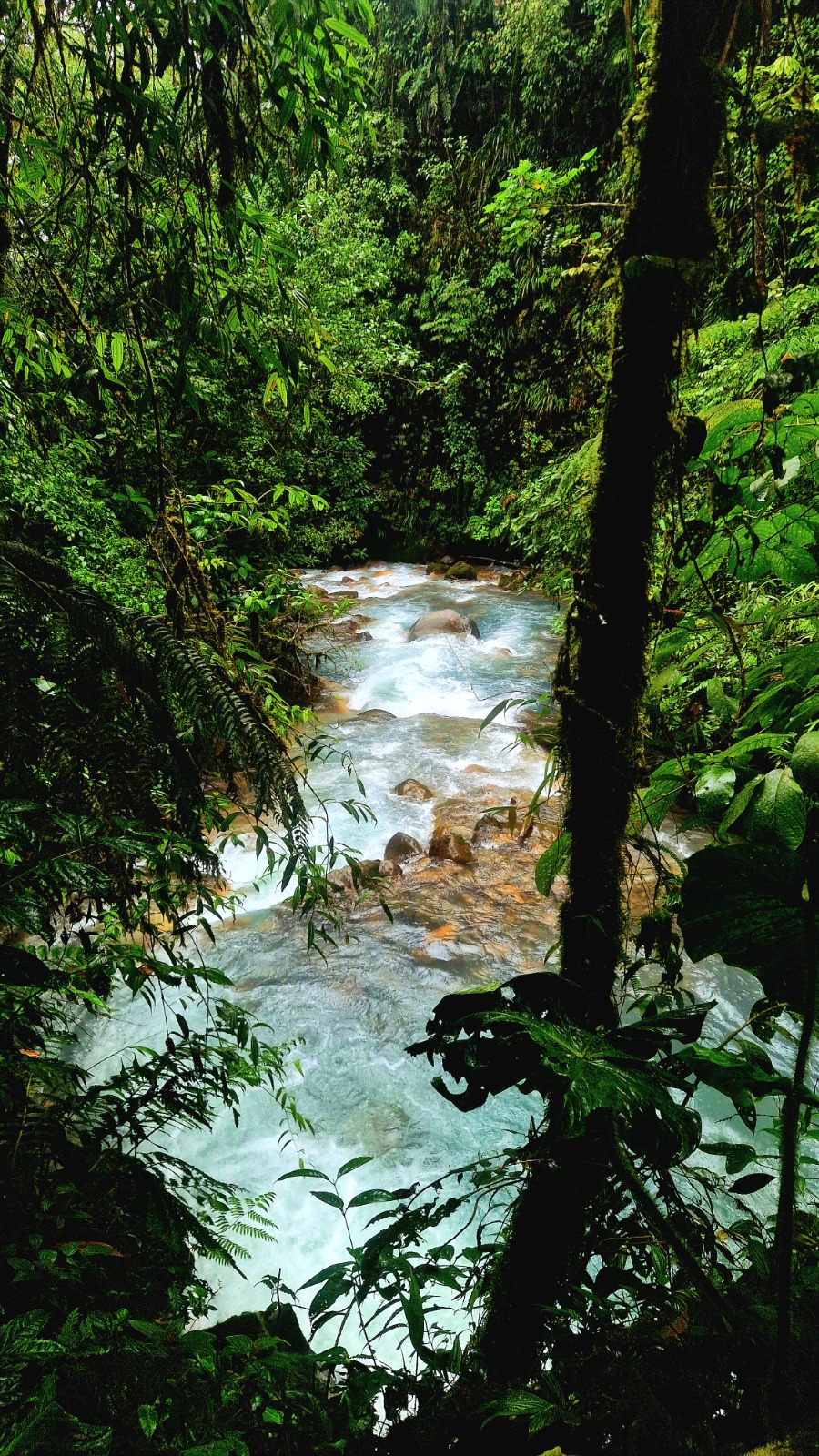 Costa Rica Foto 69