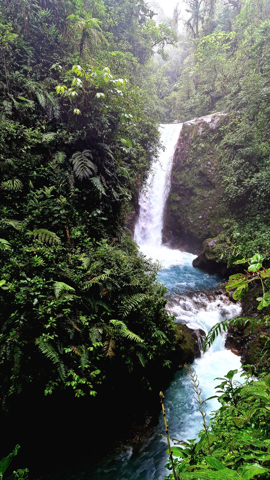 Costa Rica Foto 73