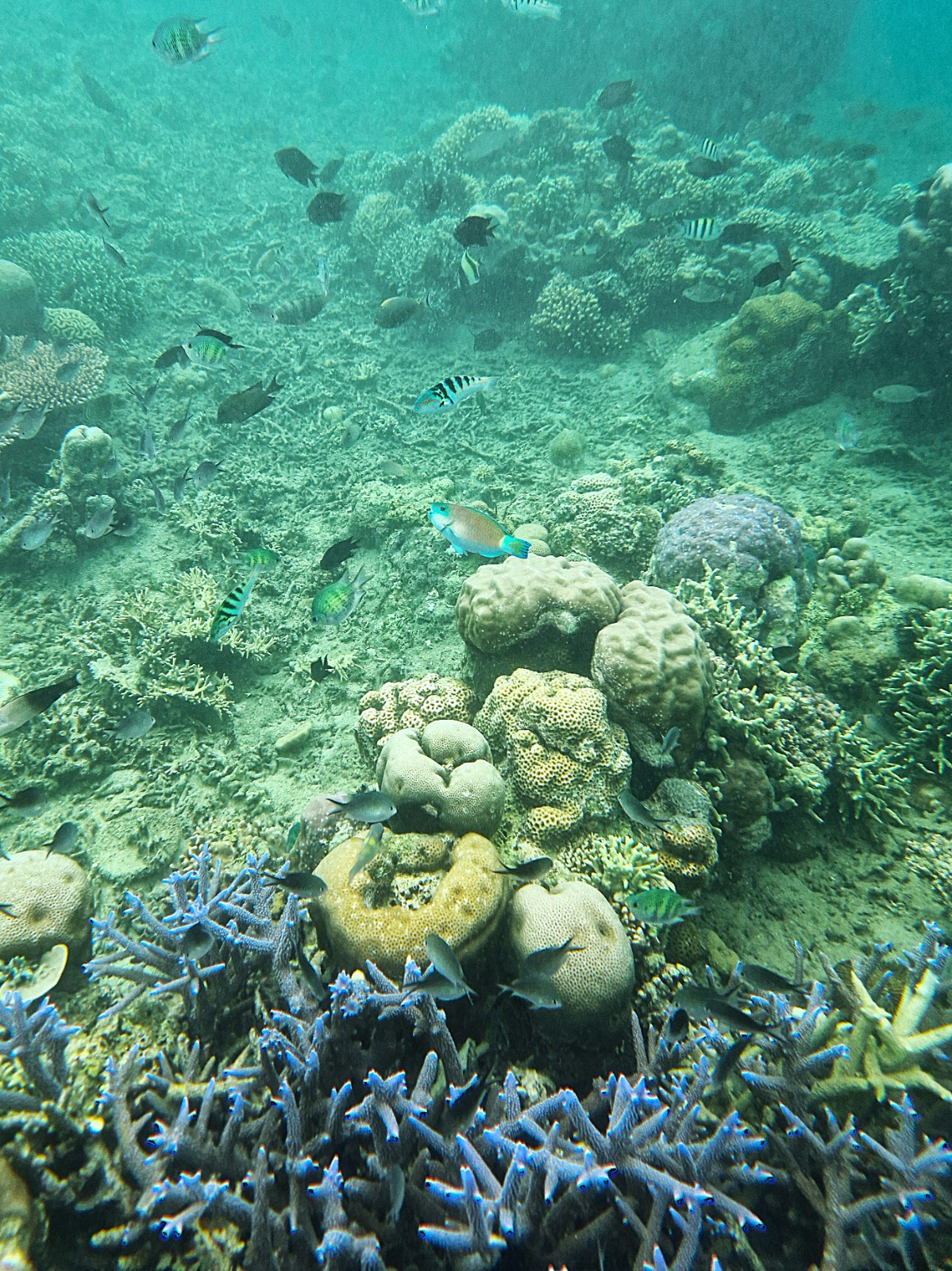 Indonesien Foto 11
