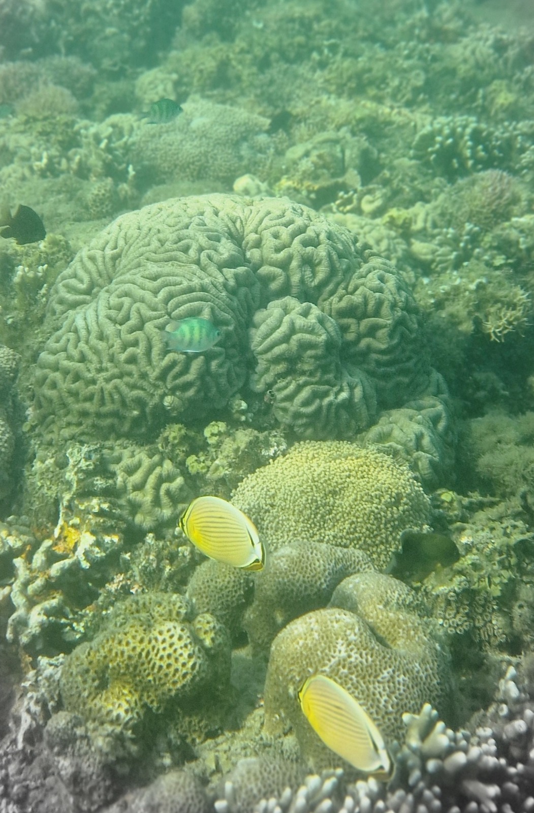 Indonesien Foto 18