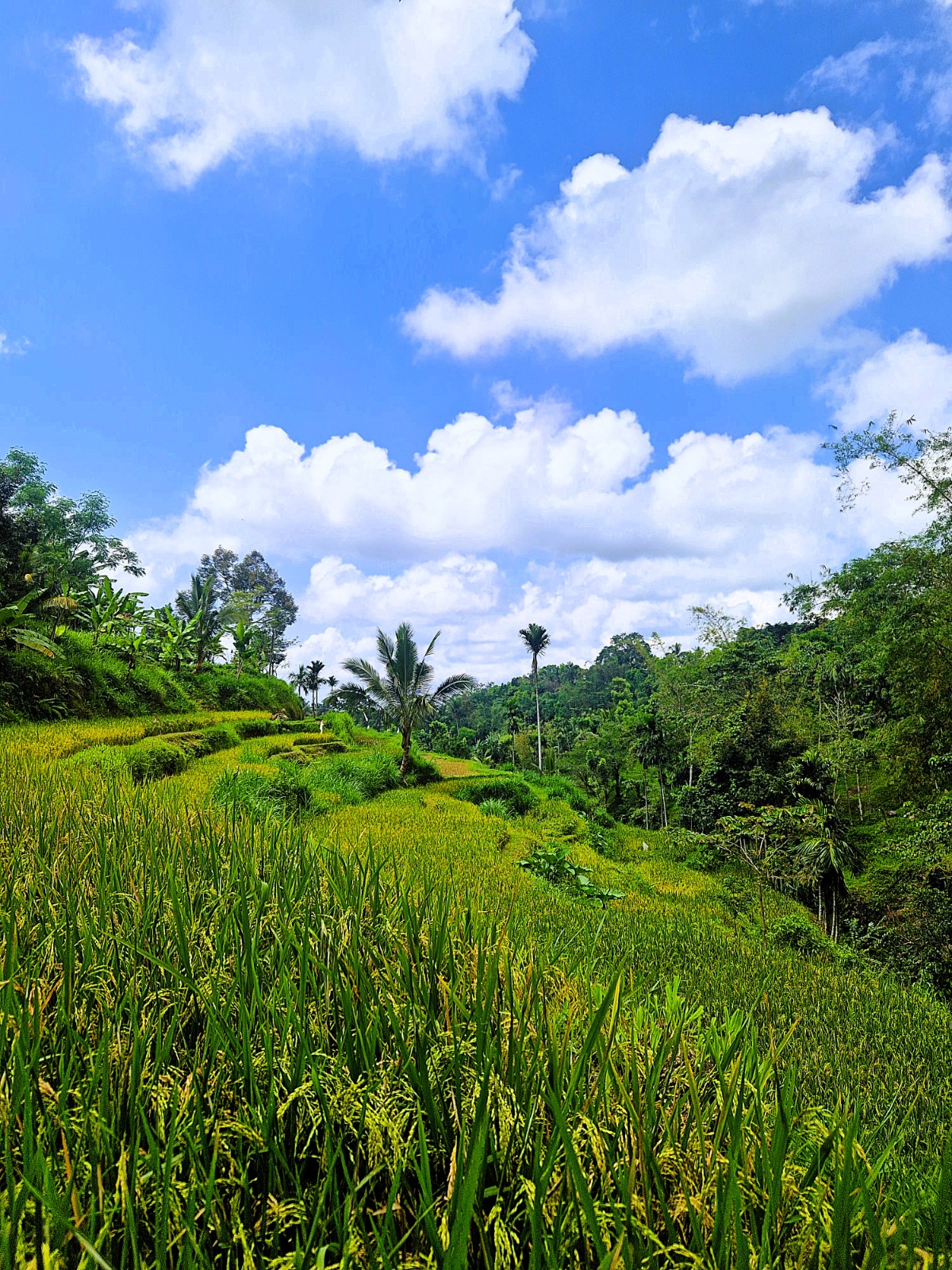 Indonesien Foto 26