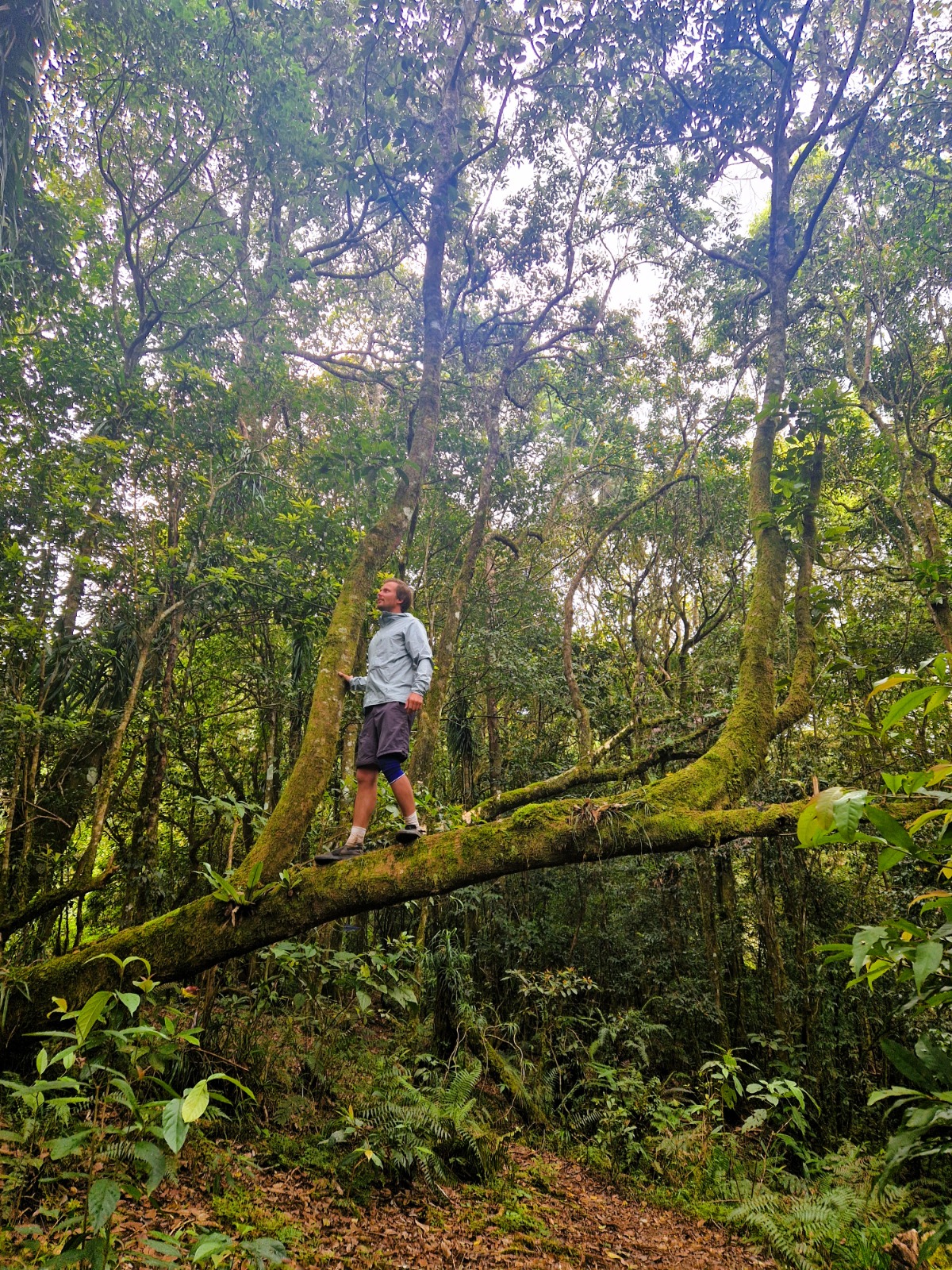 Indonesien Foto 40