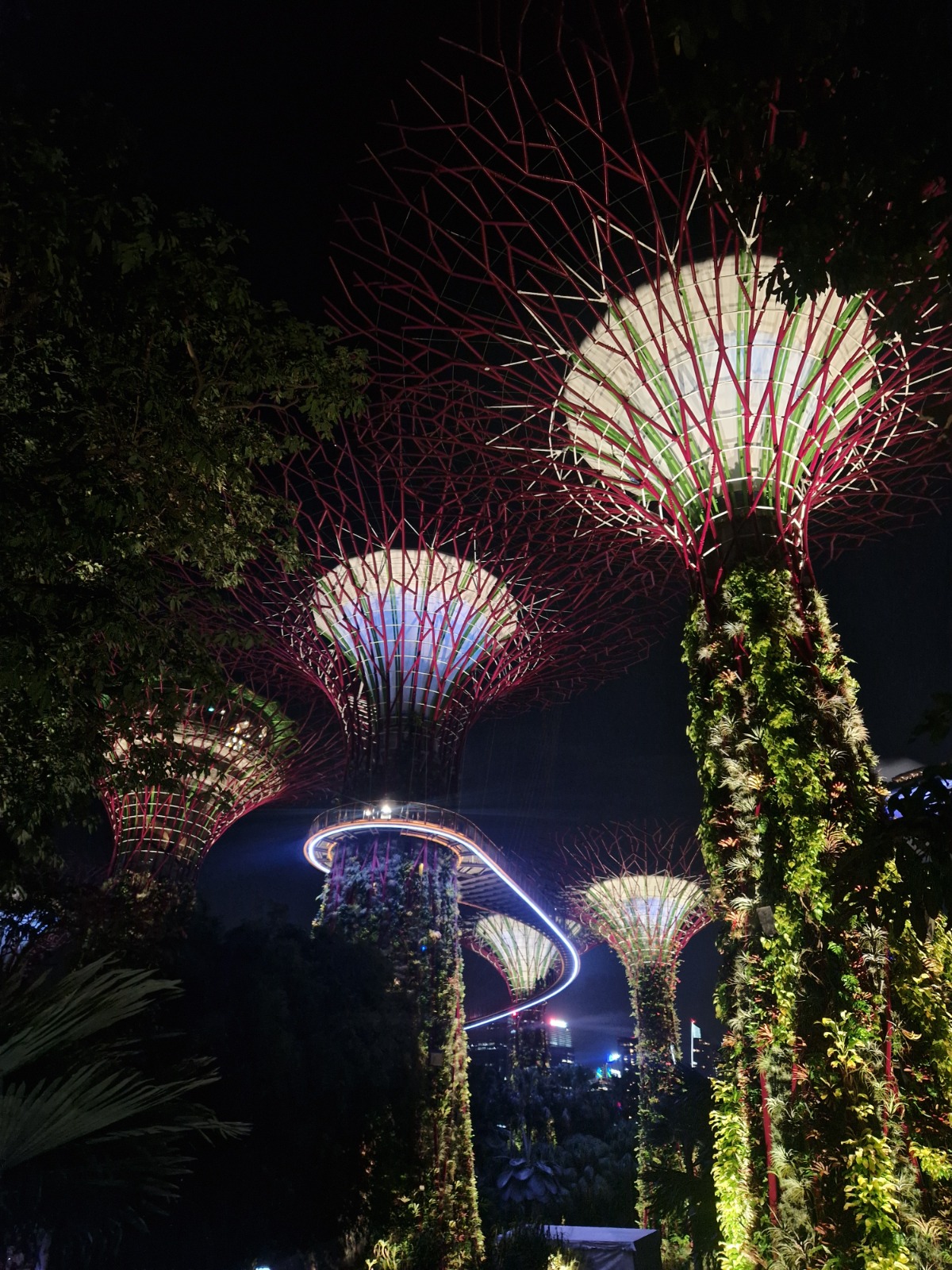 Singapur Foto 9